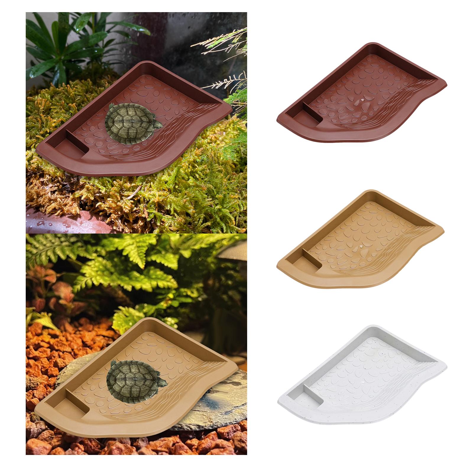 Water Dish Reptile - Reptile Pool Water Dish, Tortoise Feeding