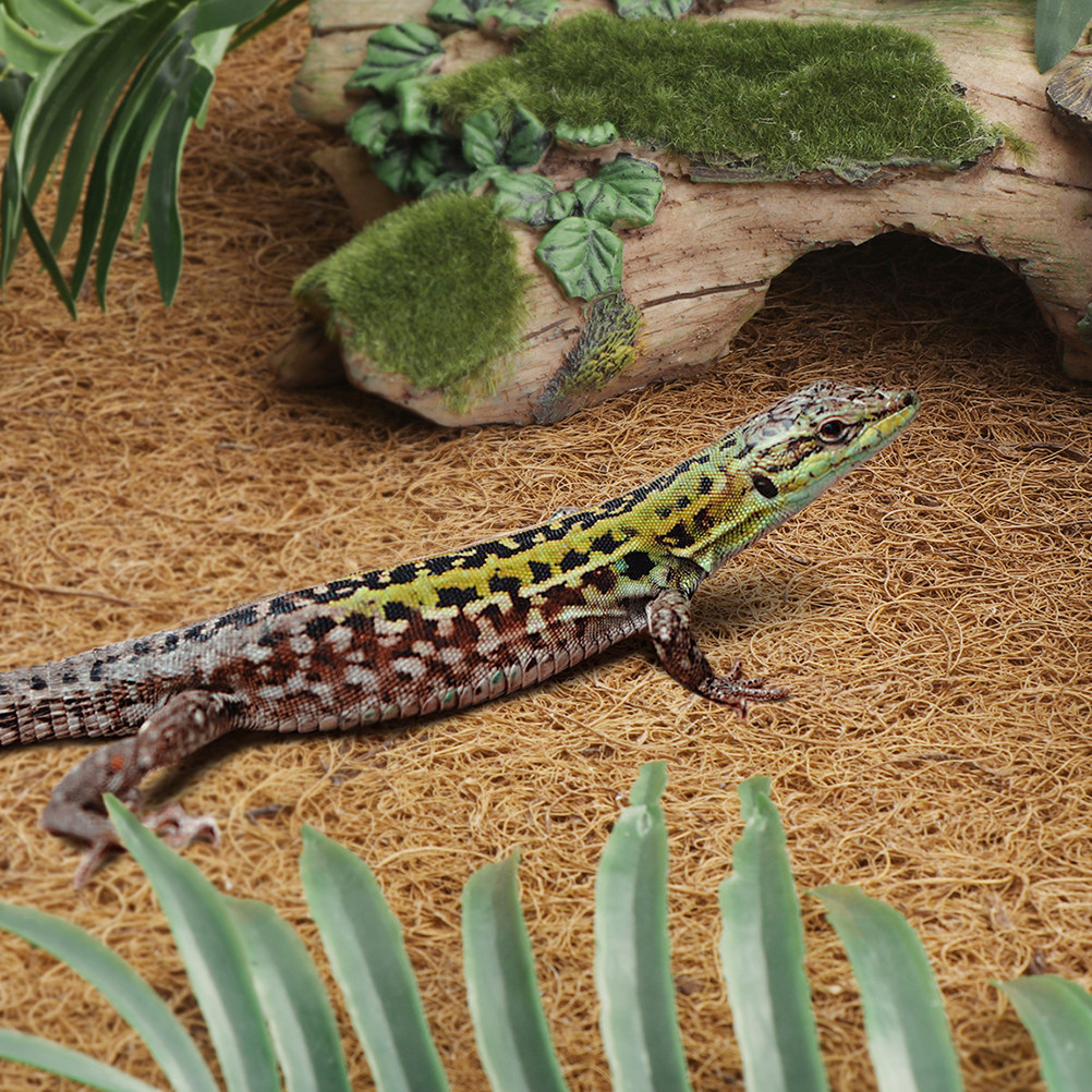 Reptile Carpet Natural Coconut - Substrate Coconut Fiber recension och pris