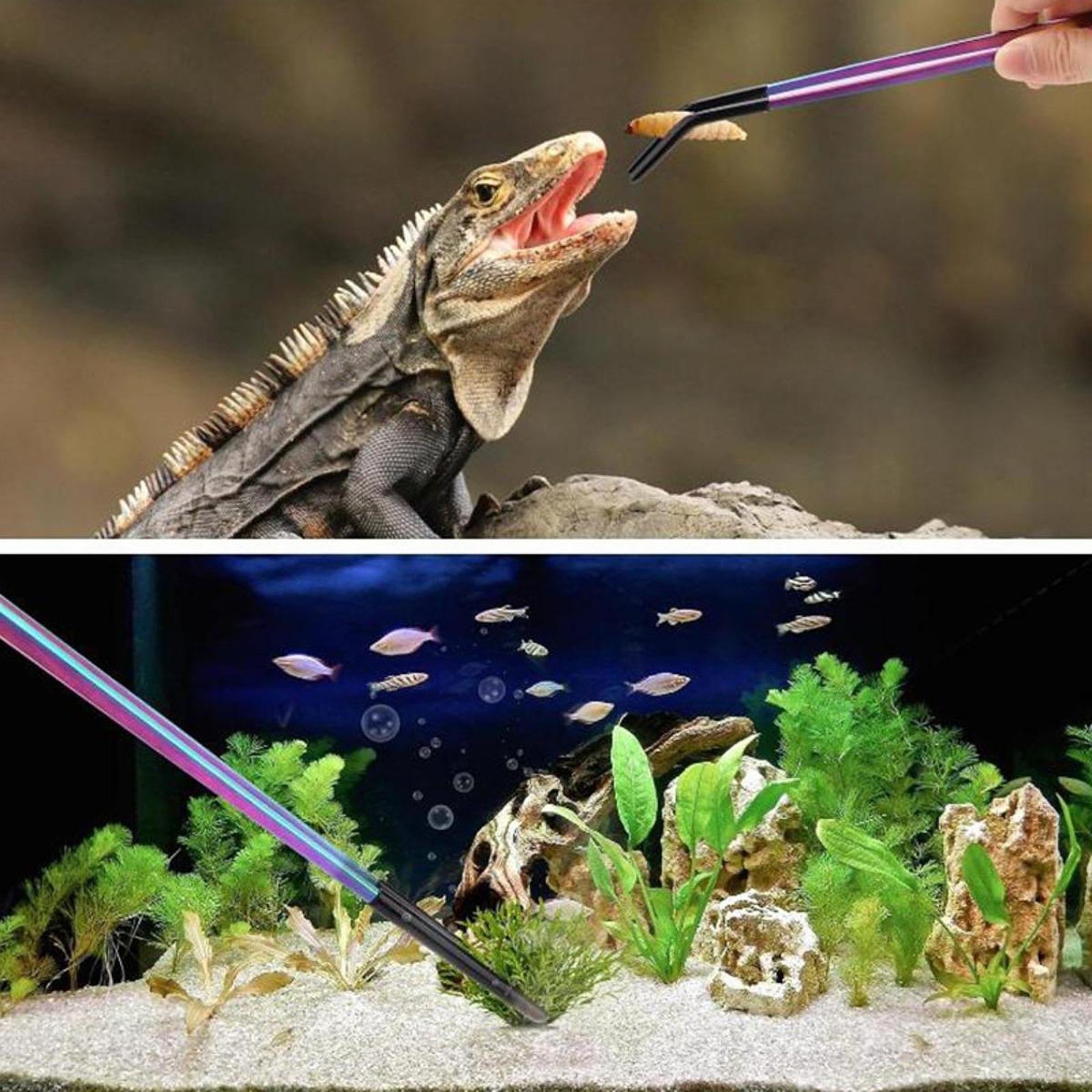 Terrarium Reptile Feeder Tongs - Feeding Tong Stainless recension och pris