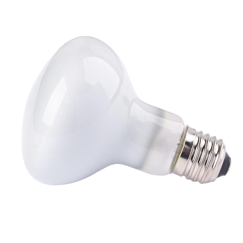 Lizard Temperature Controller  - Basking Bulb Halogen recension och pris