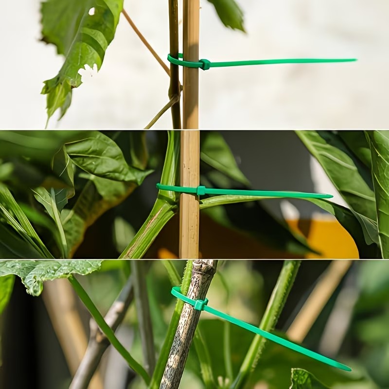 50-300pcs Adjustable Plastic P - Vine Climbing Plastic recension och pris