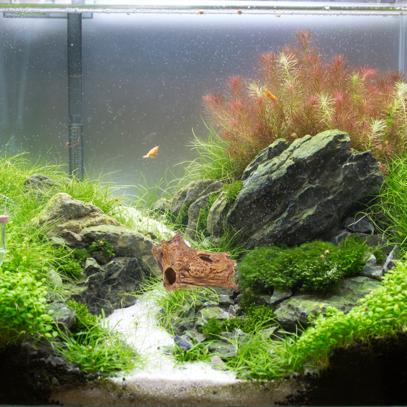 Ceramic Pleco Caves for Aquari - Hide Cave Ceramic recension och pris