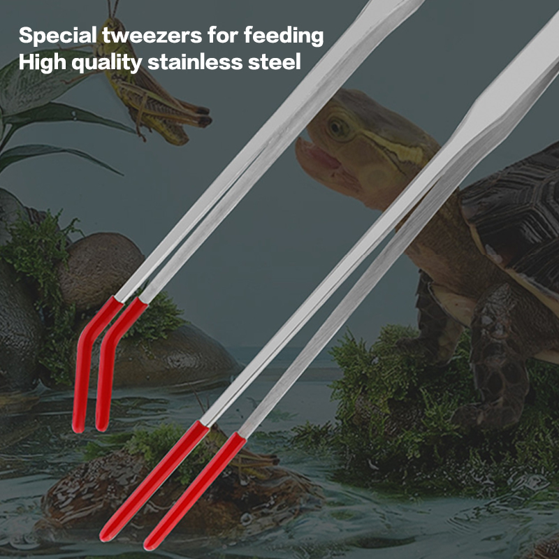 Stainless Steel Reptile With R - Feeding Tong Stainless recension och pris