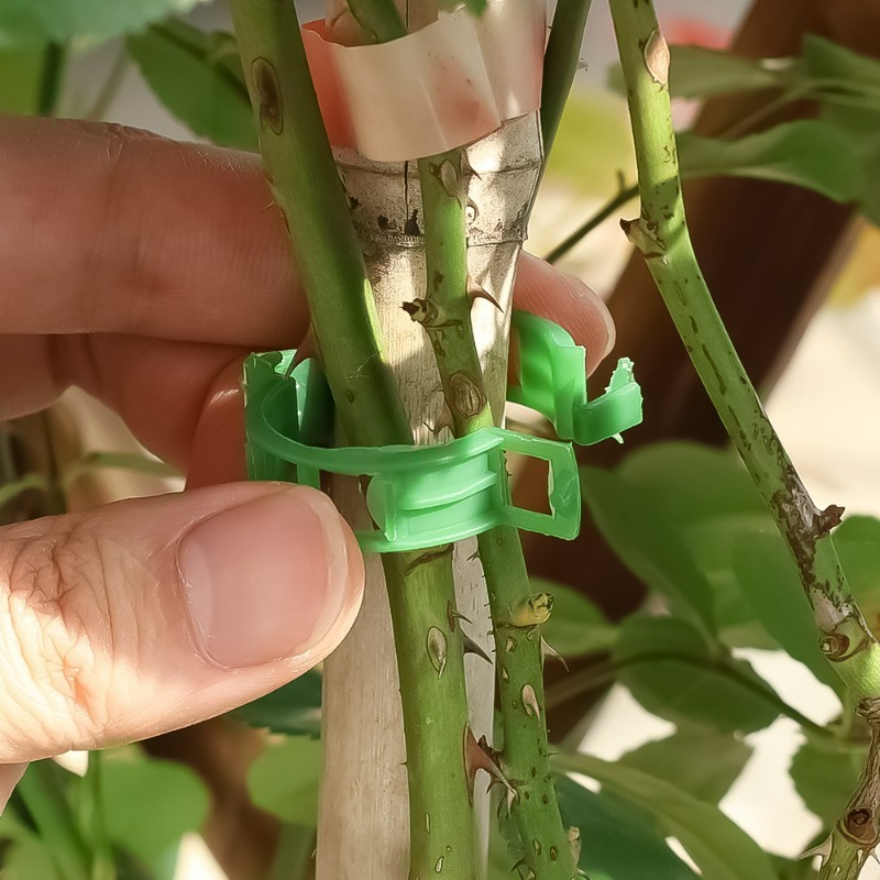 10-500Pcs Garden Plant Support - Vine Climbing Plastic recension och pris