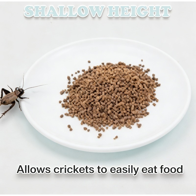 Reptile Feeding Bowl Food Dish - Water Dish Reptile recension och pris