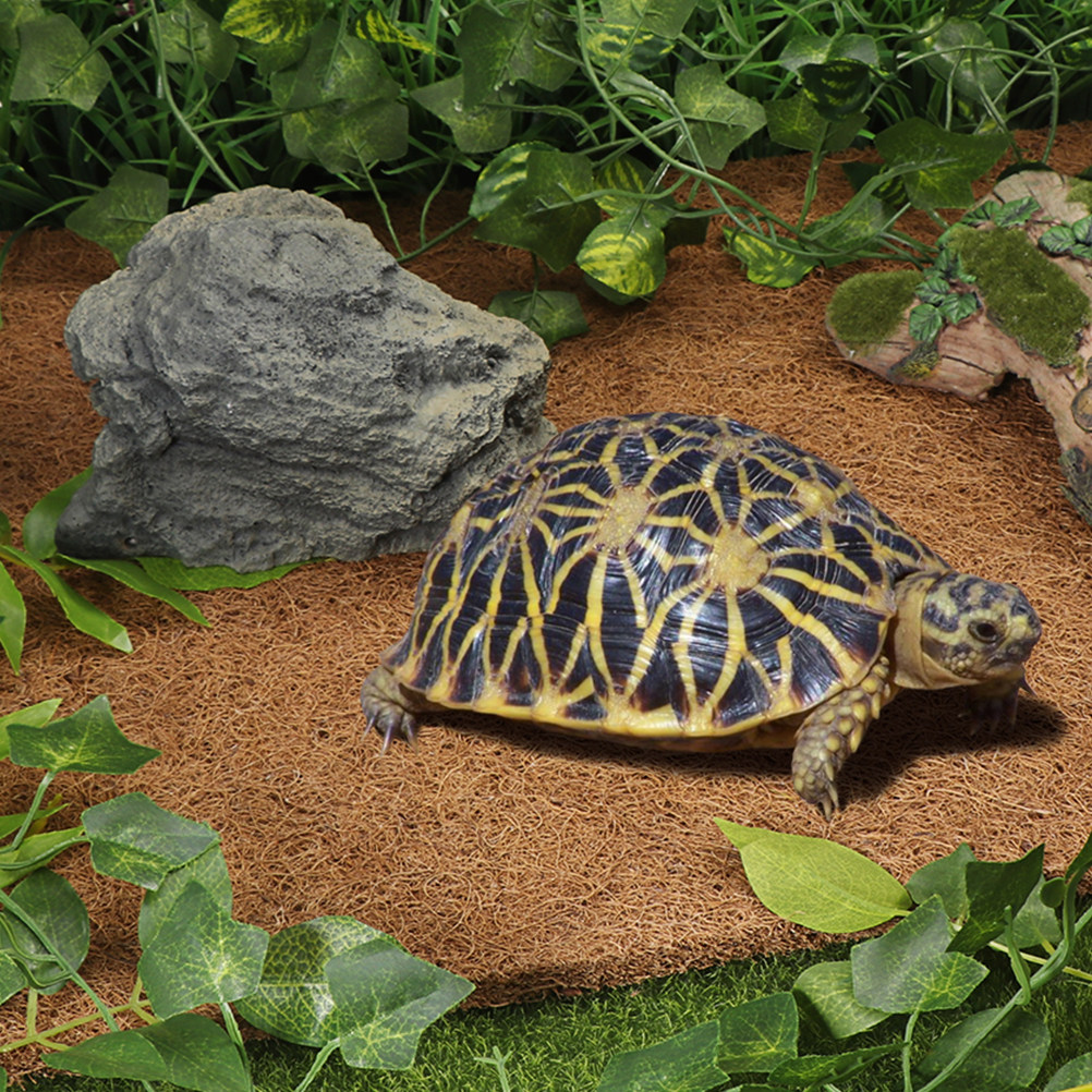 Reptile Terrarium Bedding Subs - Substrate Coconut Fiber recension och pris