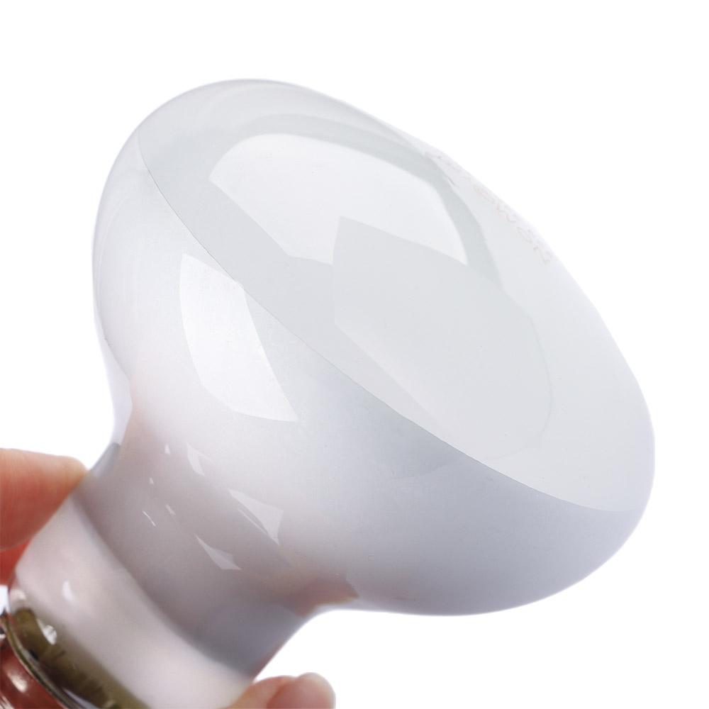 Amphibians Temperature Control - Basking Bulb Halogen recension och pris