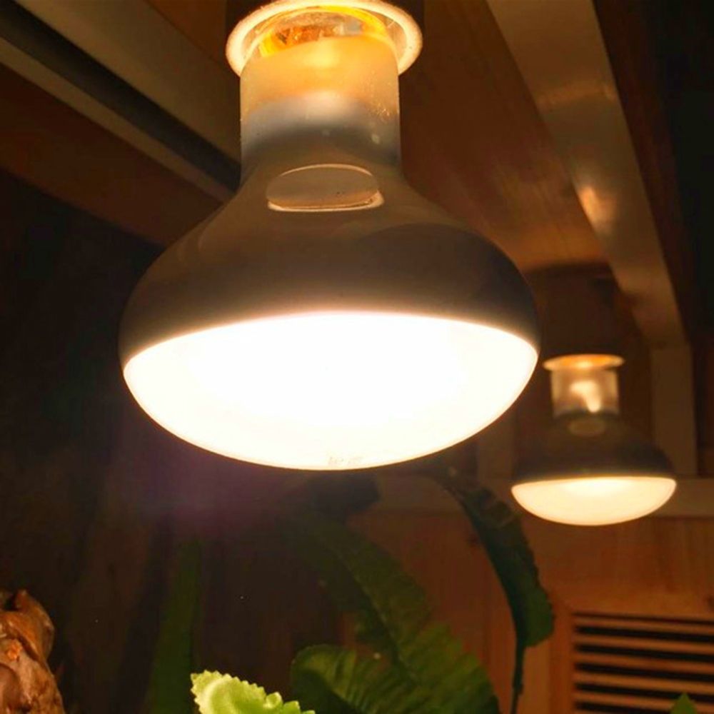 Amphibians Temperature Control - Basking Bulb Halogen recension och pris