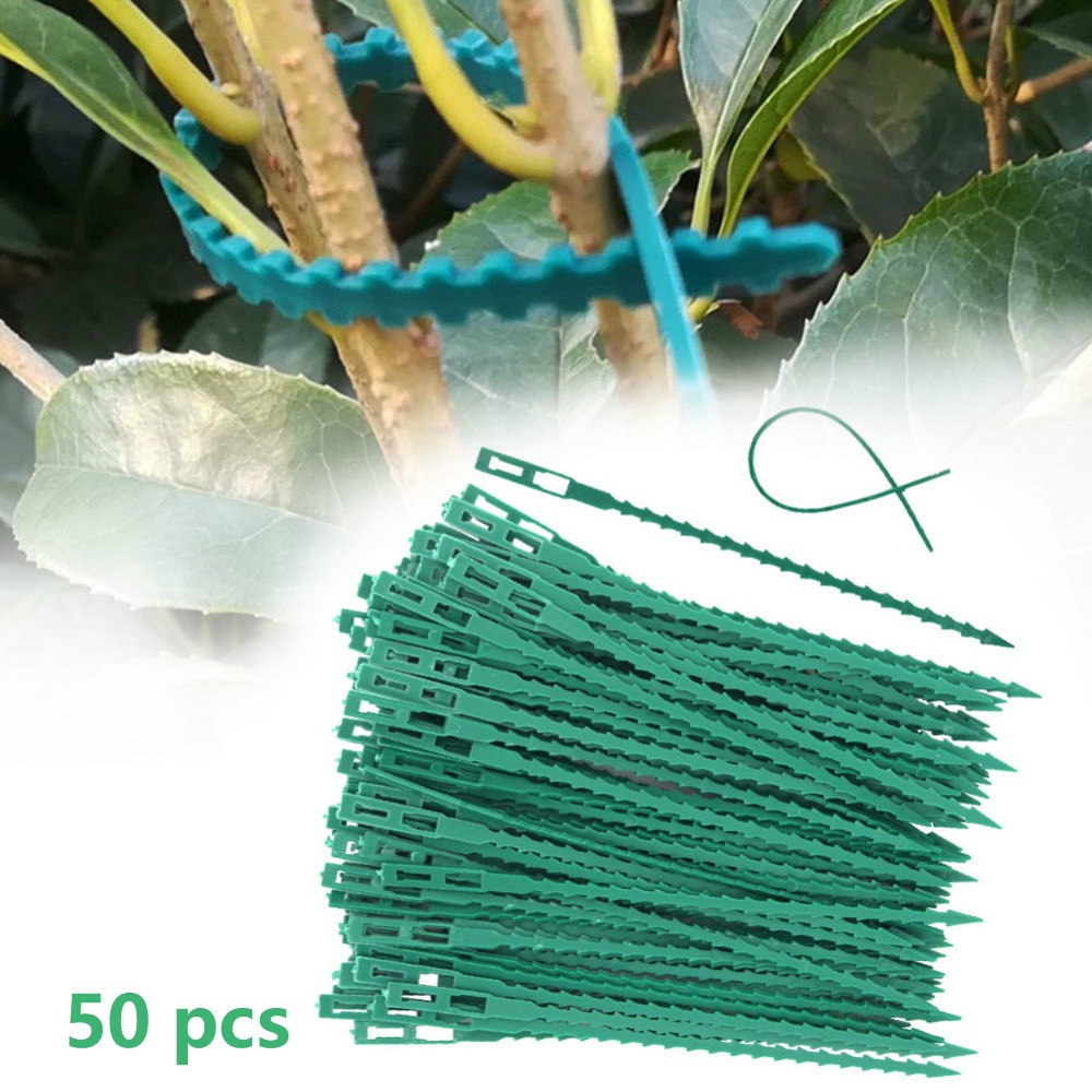 50Pcs Reusable Adjustable Plas - Vine Climbing Plastic recension och pris