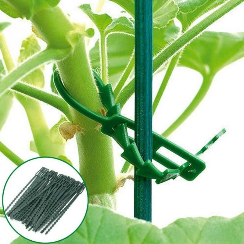 50Pcs Reusable Adjustable Plas - Vine Climbing Plastic recension och pris