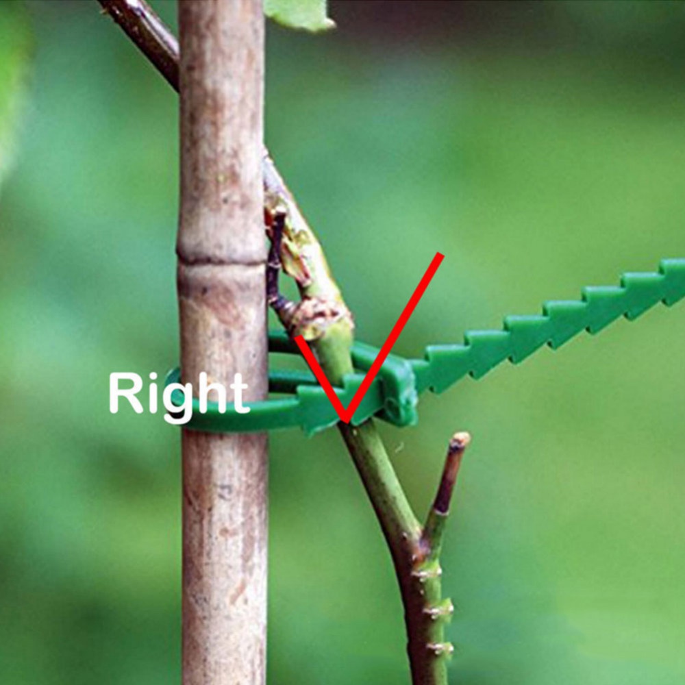 50Pcs Reusable Adjustable Plas - Vine Climbing Plastic recension och pris