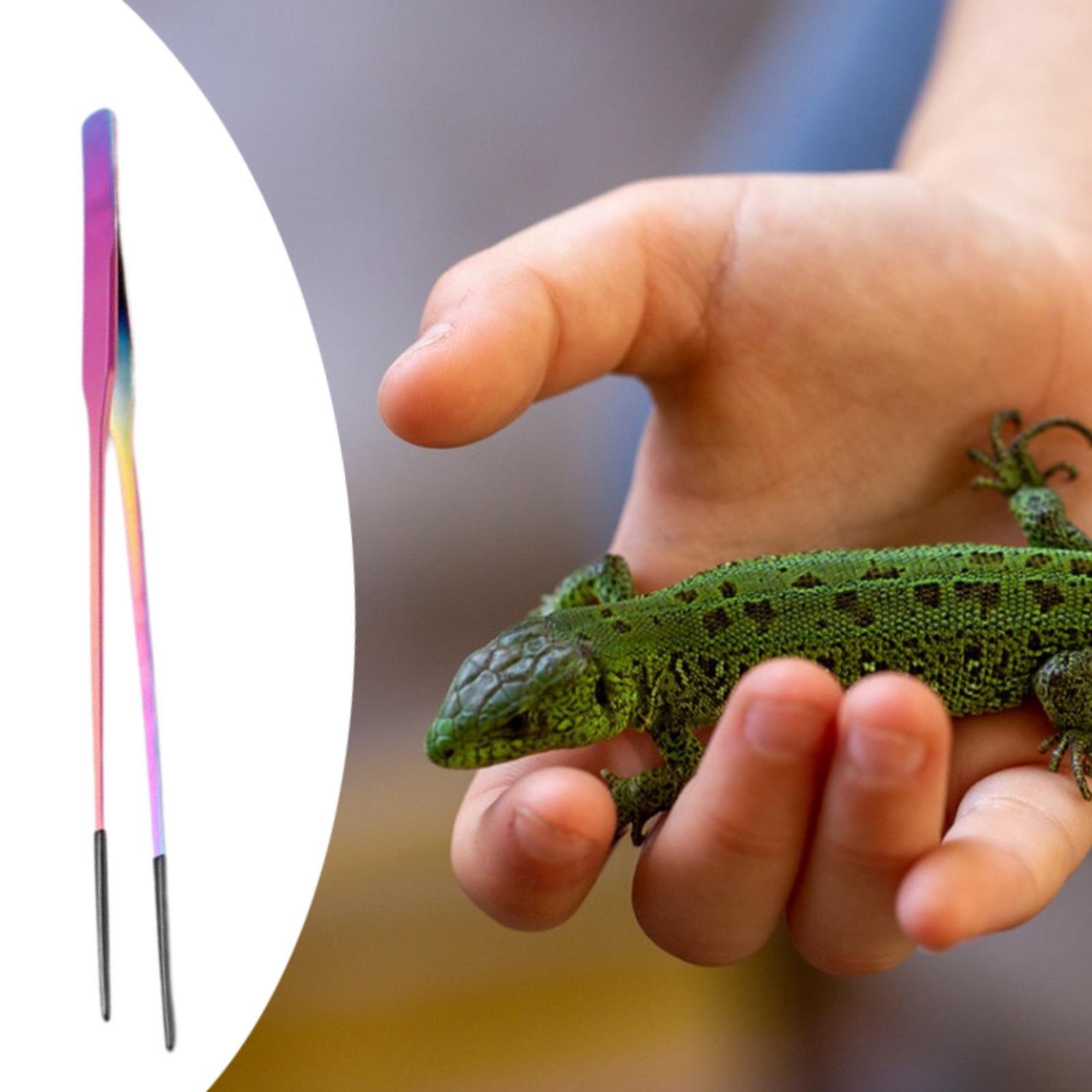 Reptile Feeder Tongs Soft Sili - Feeding Tong Stainless recension och pris