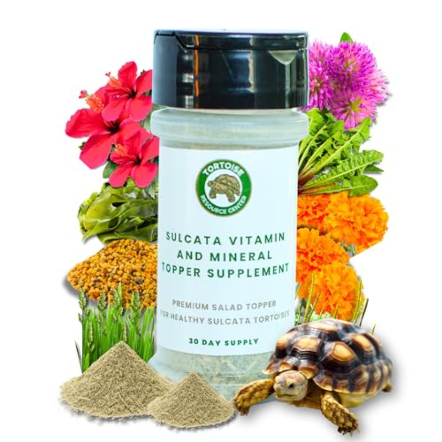 【Spot goods】Sulcata Tortoise C - Calcium Powder Reptile recension och pris