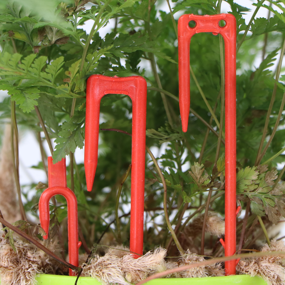 20-50PCS Strawberry Planting F - Vine Climbing Plastic recension och pris