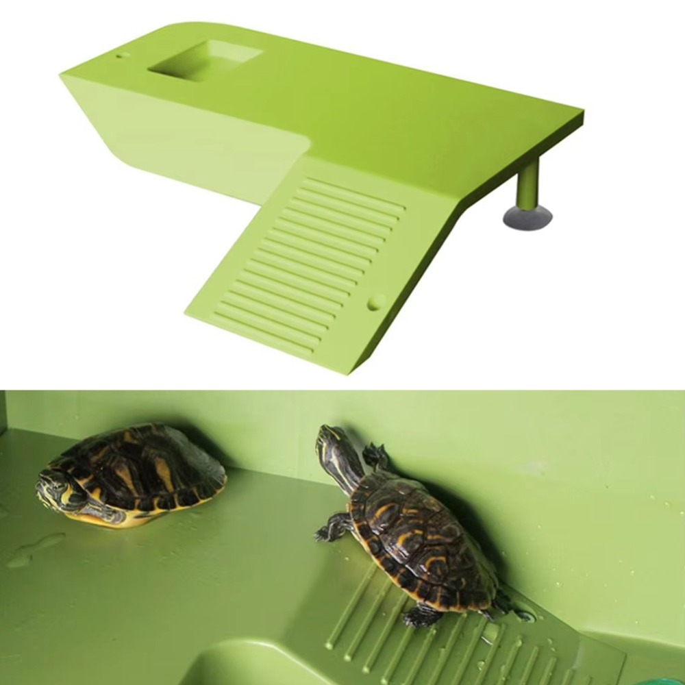 Water Land Slope Box Feeding C - Water Dish Reptile recension och pris