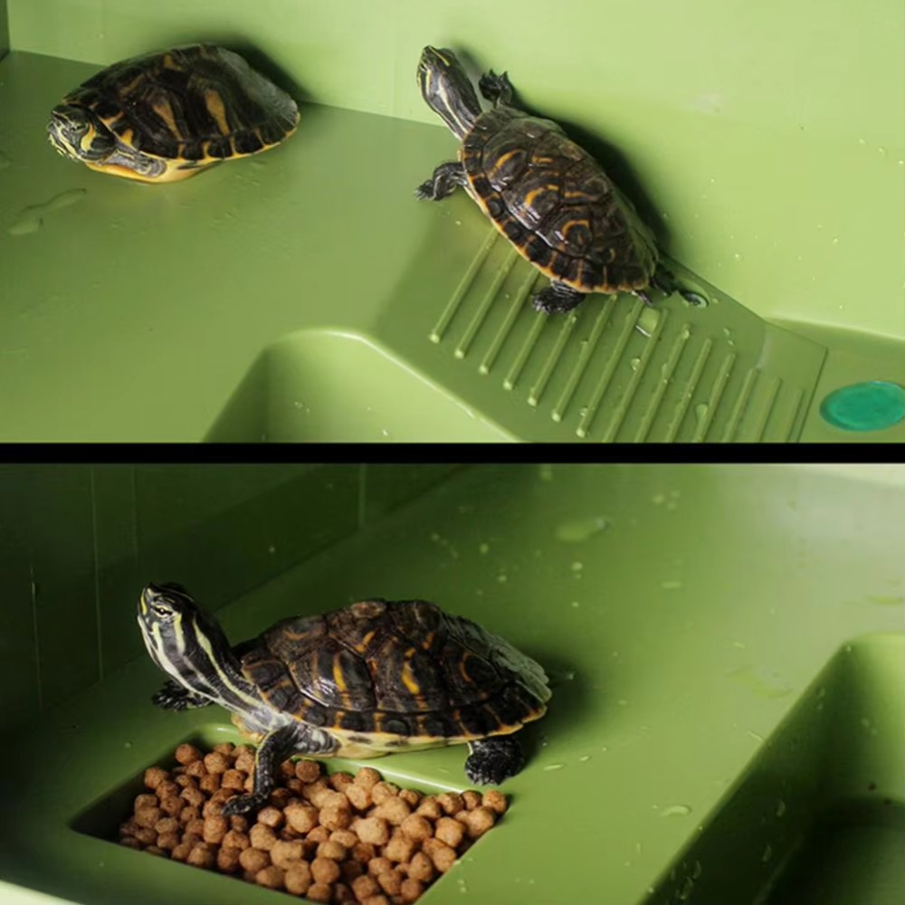 Water Land Slope Box Feeding C - Water Dish Reptile recension och pris