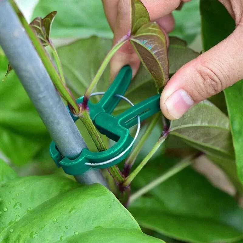 50 Reusable Plant Fixed Clips, - Vine Climbing Plastic recension och pris