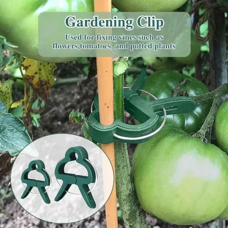 50 Reusable Plant Fixed Clips, - Vine Climbing Plastic recension och pris