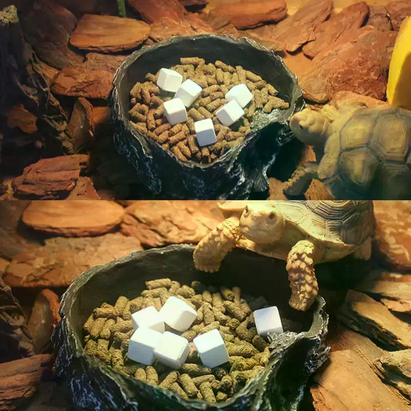 Slow Release Calcium Mineral B - Calcium Powder Reptile recension och pris
