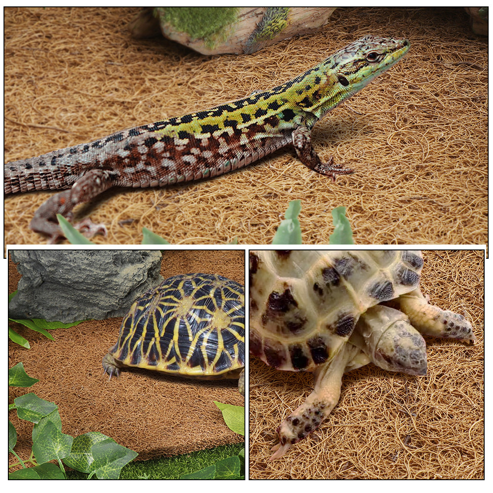 Reptile Terrarium Carpet Natur - Substrate Coconut Fiber recension och pris